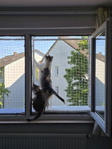 Größenverstellbarer Katzenbalkon für Fensteröffnungen