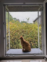 Größenverstellbarer Katzenbalkon für Fensteröffnungen