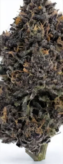 Review picture