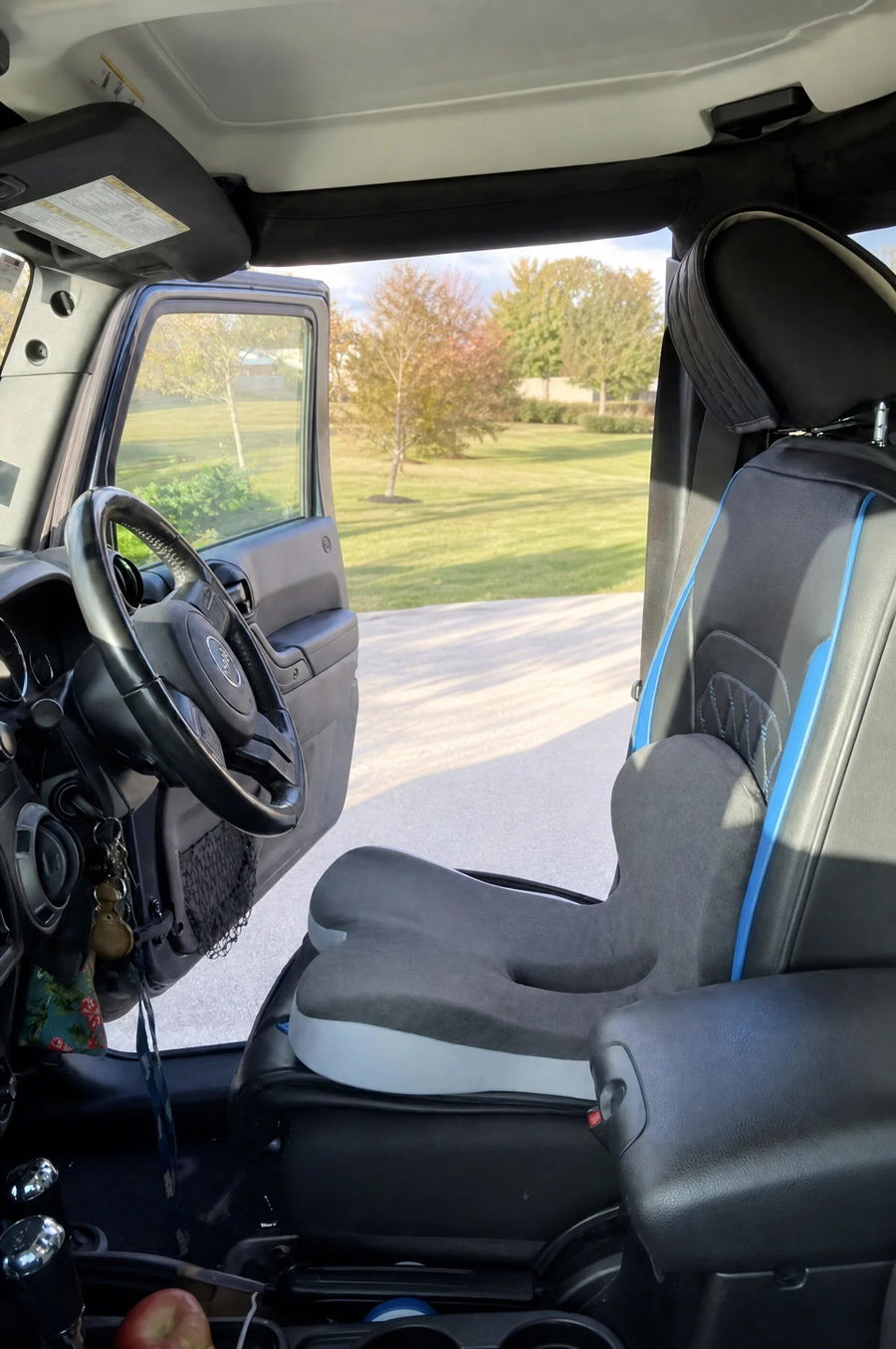 Pryxo cushion used in a vehicle