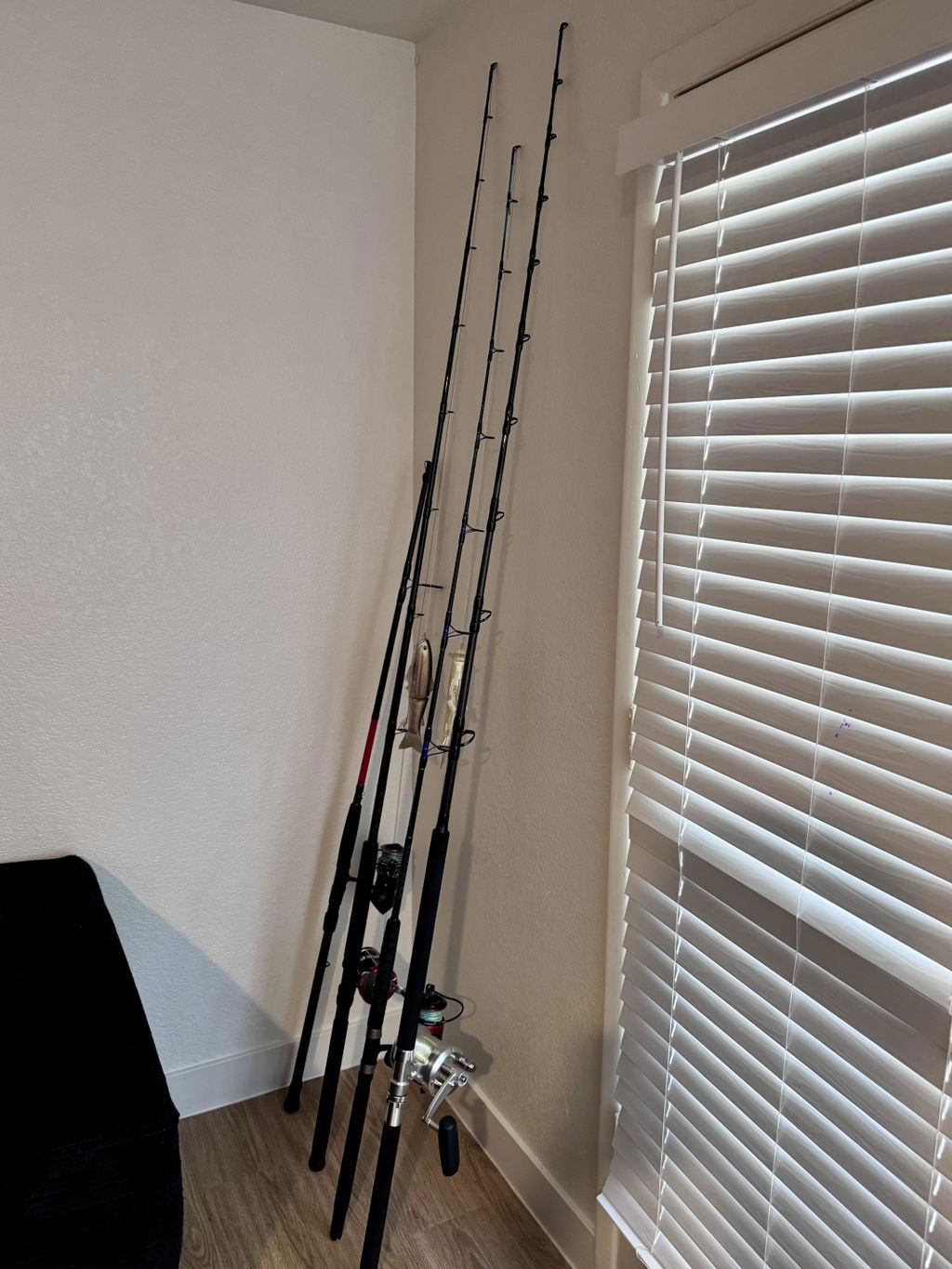 Avet Pro EXW 30/2 Wide Two Speed Reels