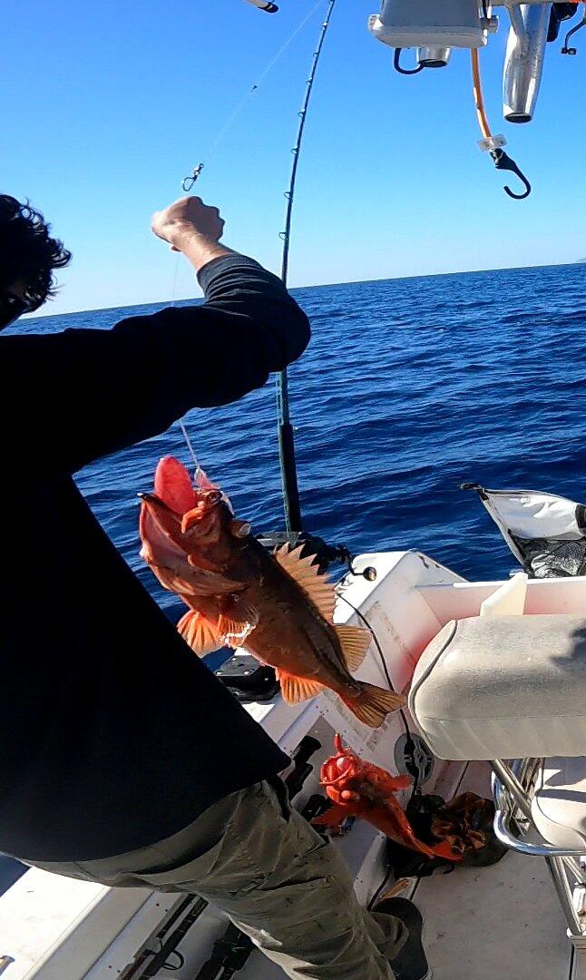 United Composites RCE 700 7ft Conventional Rods