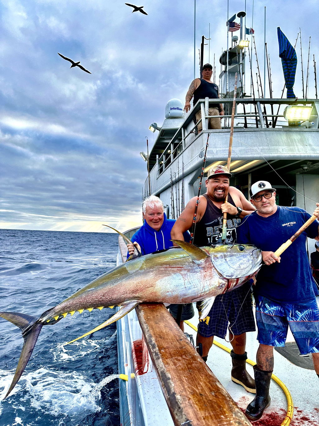 Rainshadow RX6 E-Glass Tuna Rod Blanks