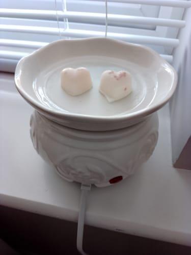 Wax Melt Sample Box