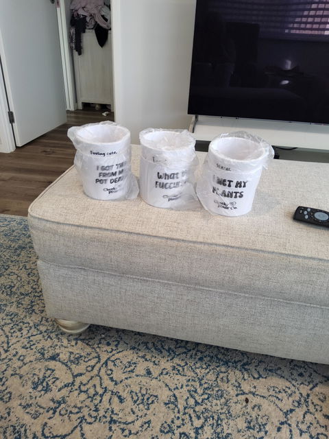 Trio Pack - Funny - Cheeky Plant Co. Pots - 12.5cmD x 12cmH