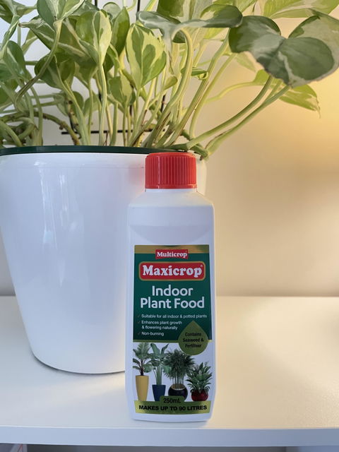 Maxicrop Indoor Plant Food Concentrate 250ml