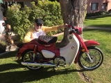 User picture