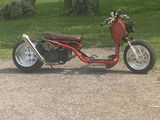 User picture