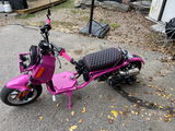User picture