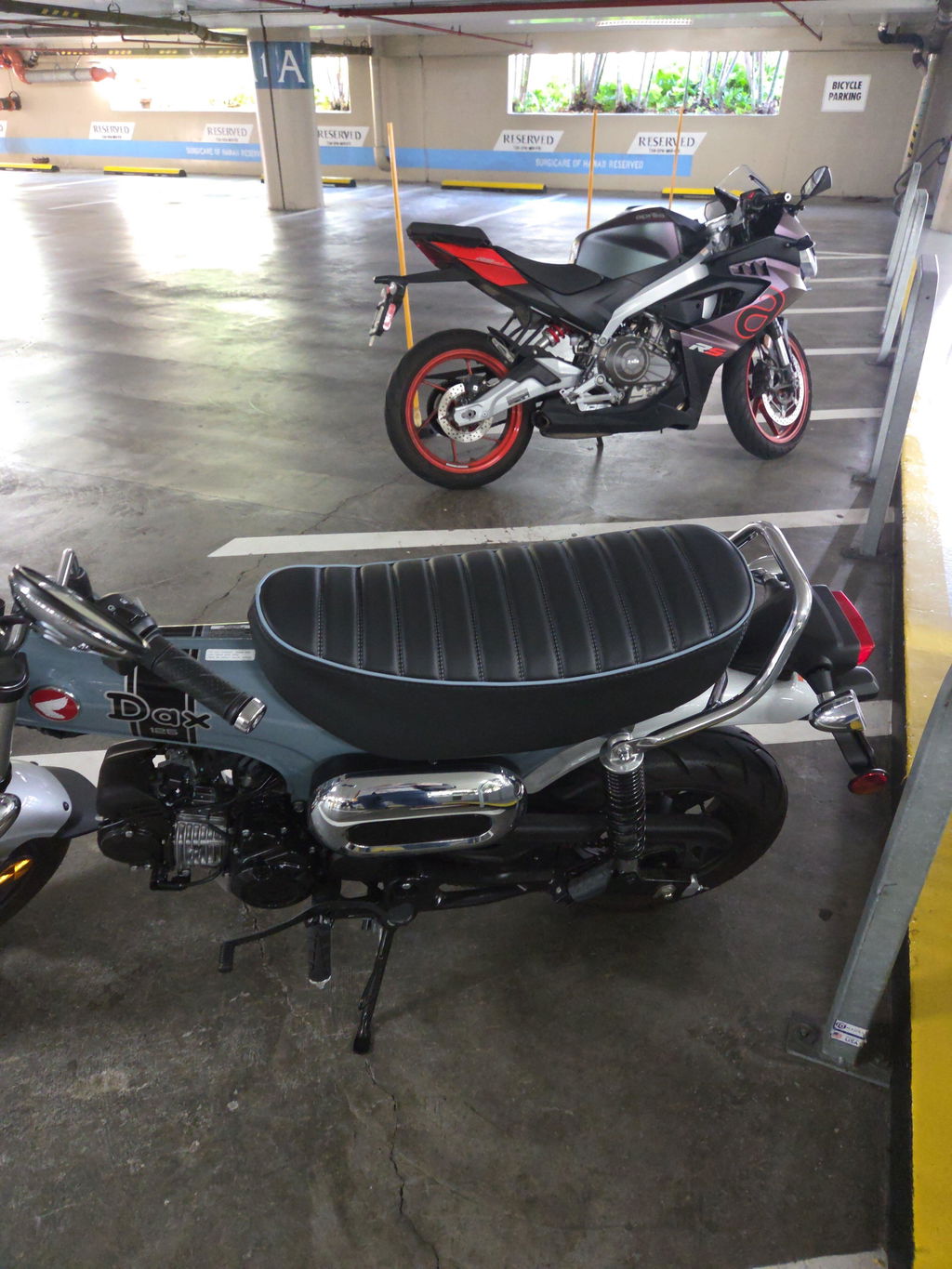 Honda DAX 125 Seat Cover 2024 - 2026 Tuck and Roll