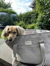 Draagtas Hond - Cuddly Cloud