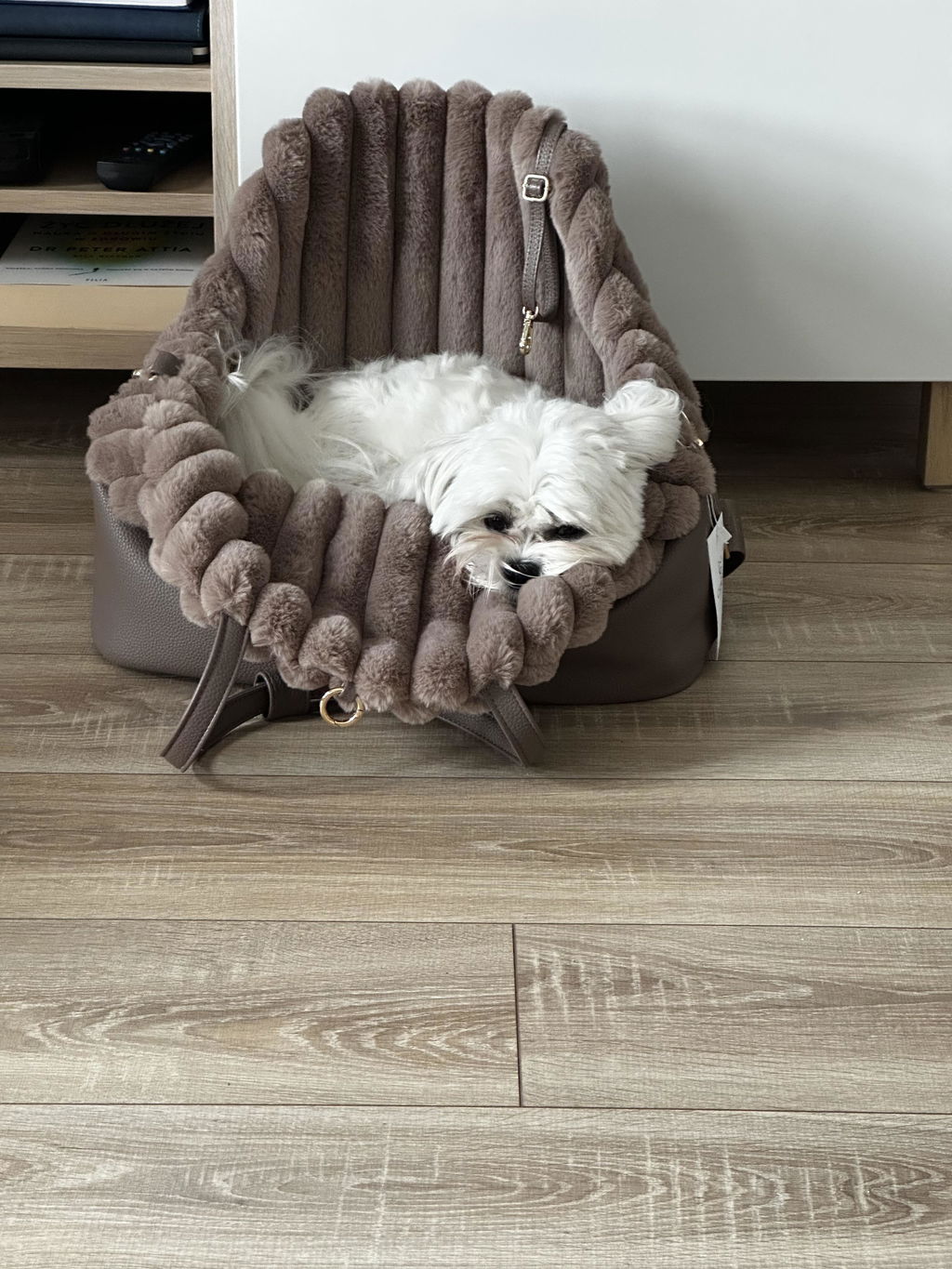Torba podróżna dla psa Chiboo Lilan - Latte