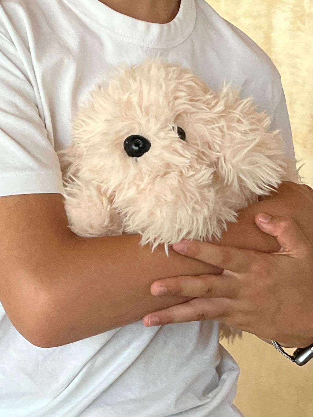 Peluche Chico