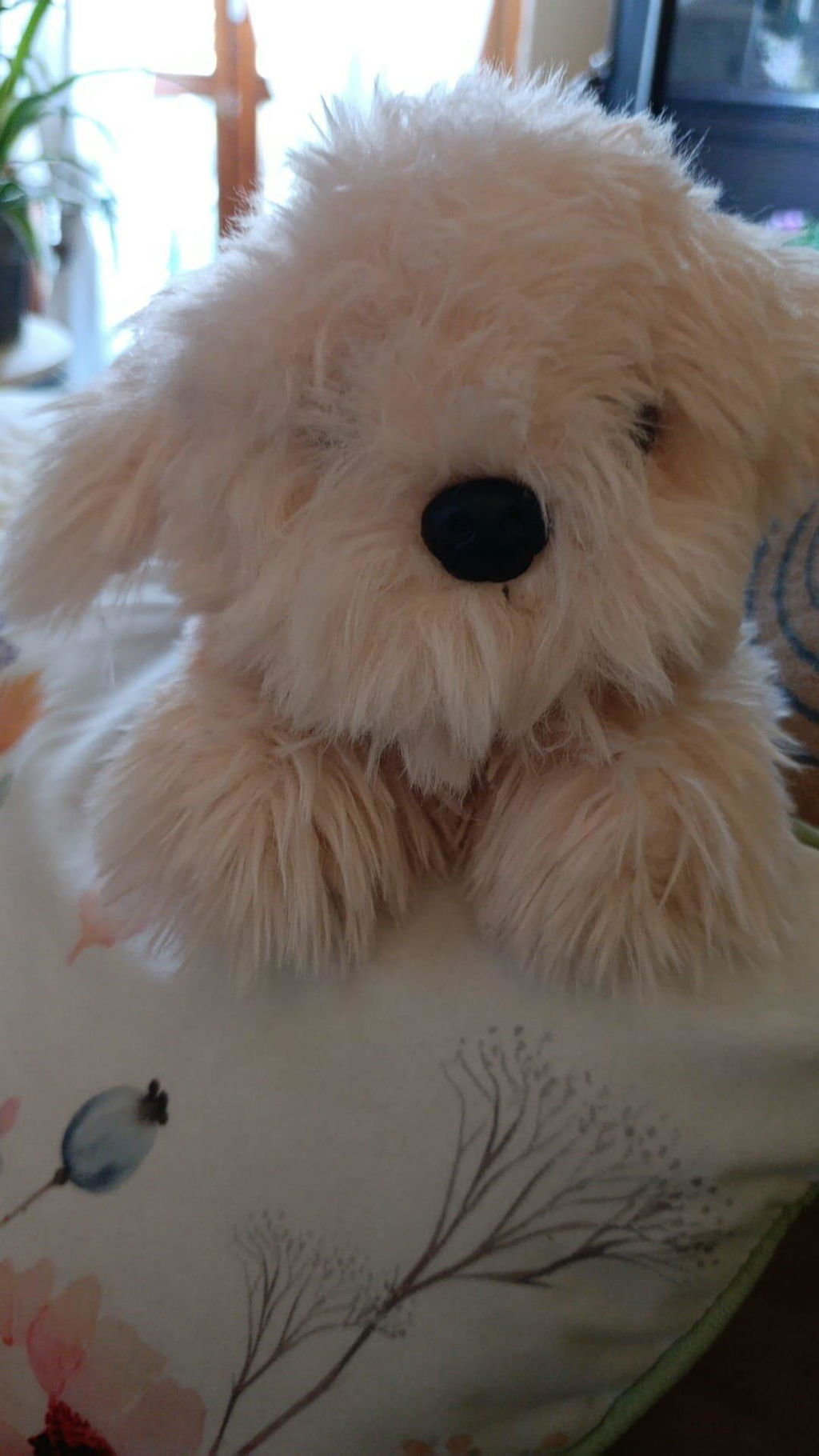 Peluche Chico