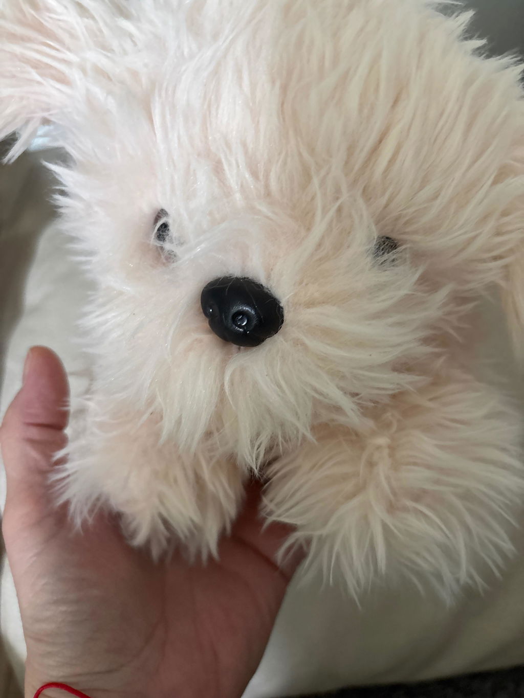 Peluche Chico