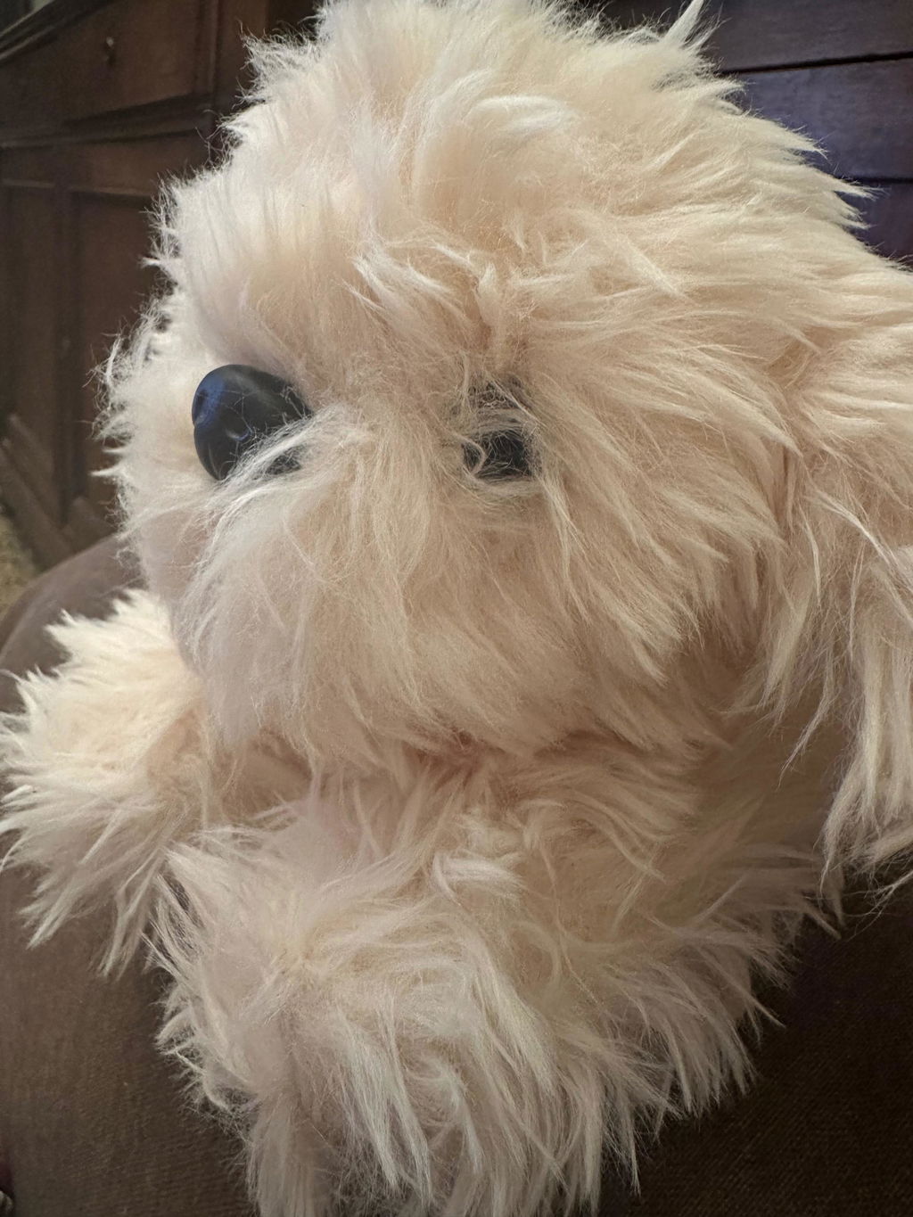 Peluche Chico