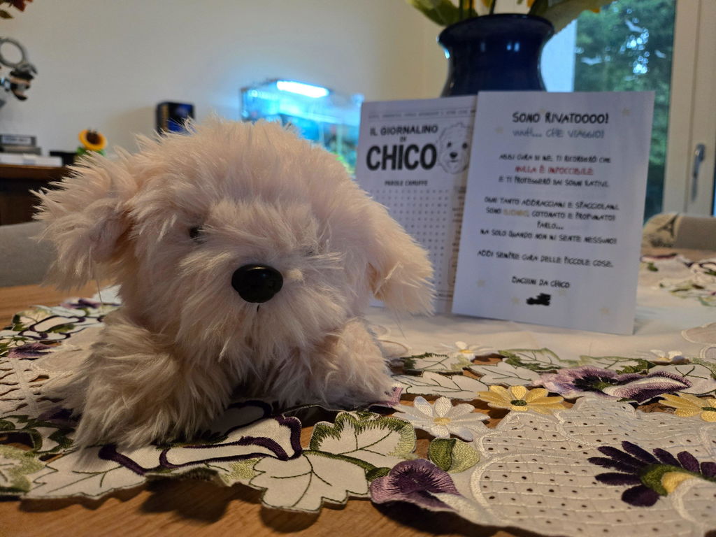 Peluche Chico