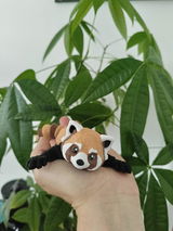 Roter Panda Rico