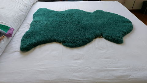 Eucalan No Rinse Delicate Wash (Eucalyptus)