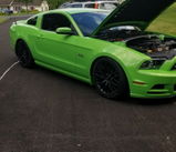 User picture