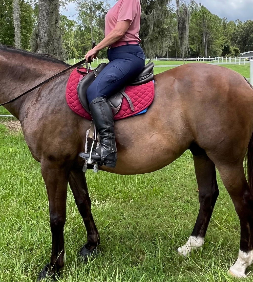 Blue Opal Just Right Summer Breeches + Free Bit Belt