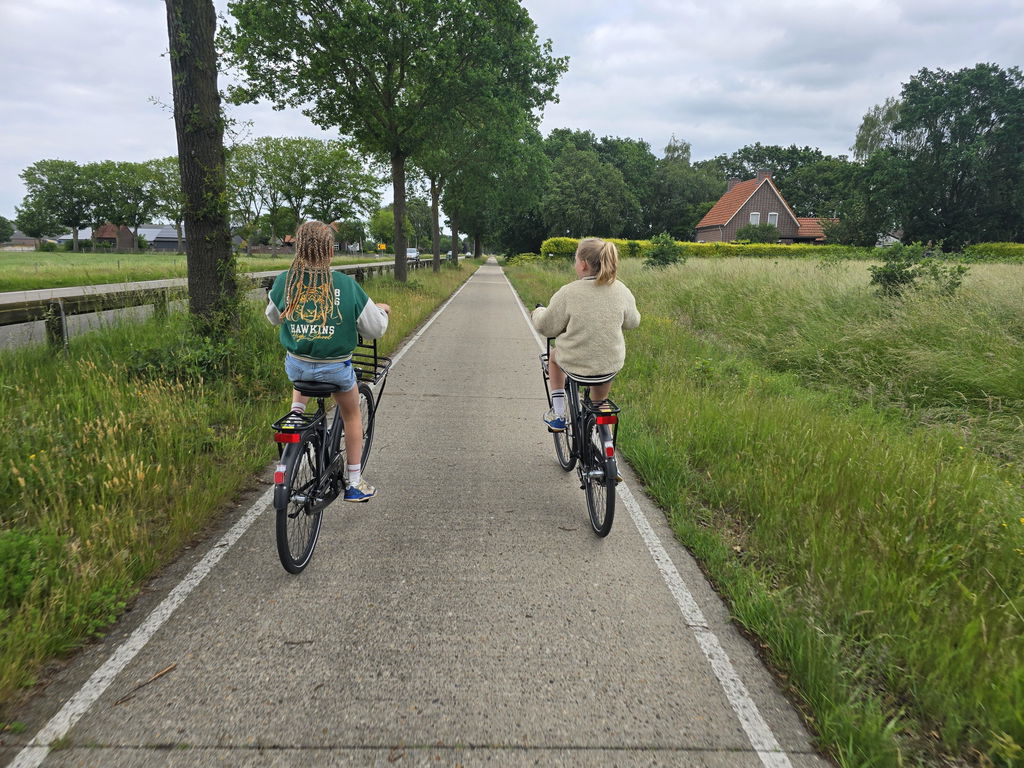 Omafiets Meisjesfiets 26 inch Mat-Zwart + Voordrager