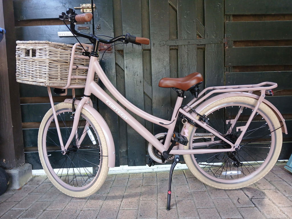 Transporter Meisjesfiets 24 inch - 7 Versnellingen - Zalm
