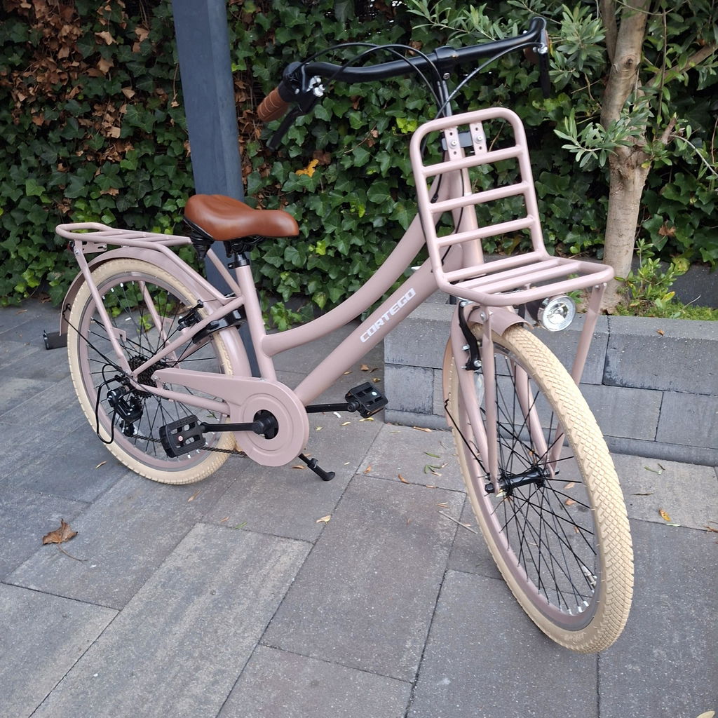 Transporter Meisjesfiets 24 inch - 7 Versnellingen - Zalm