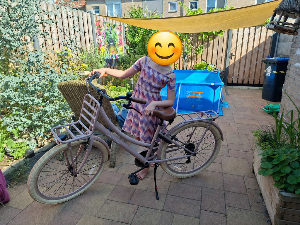 Transporter Meisjesfiets 26 inch - 7 Versnellingen - Zalm