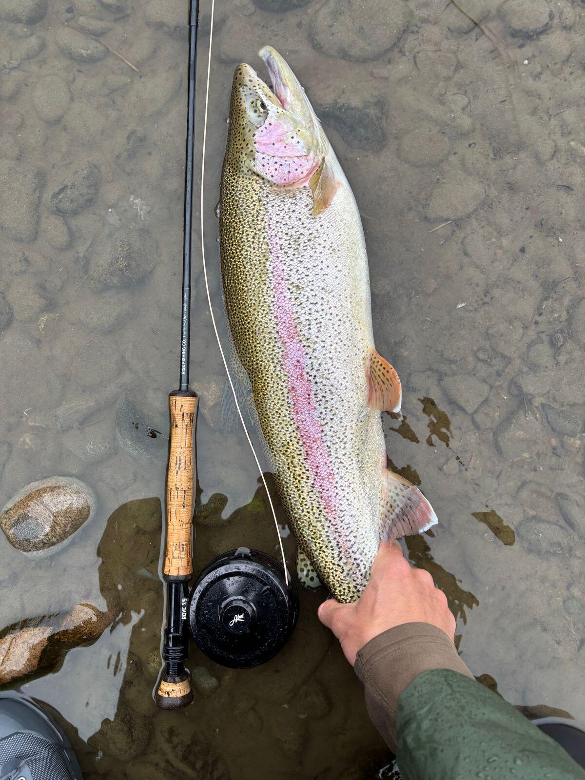 Timeless Cortland 444 Peach Fly Line – Smooth, Supple, Legendary