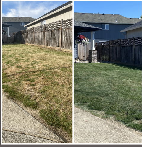 Green Grass Paint For Lawn