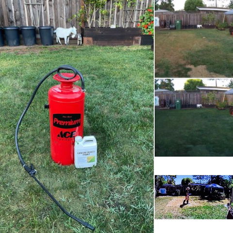 Green Grass Paint For Lawn