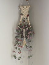 3 Beads Macrame Plant Hanging Kit