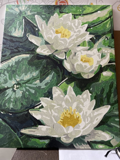 Lovely Lotus Paint by Number Jumbo Kit