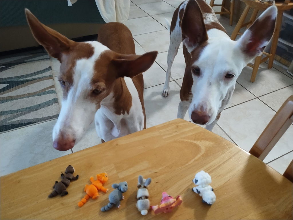 3D Printed Mini Fidget Creatures [Crafts3D]