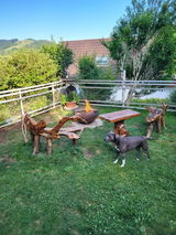 Image de l'utilisateur