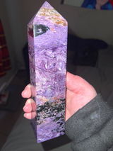 User picture