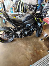 User picture