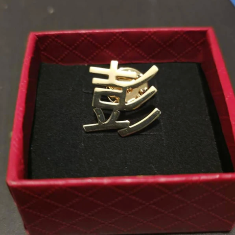 Custom Logo Brooch Pin (Single Finish)