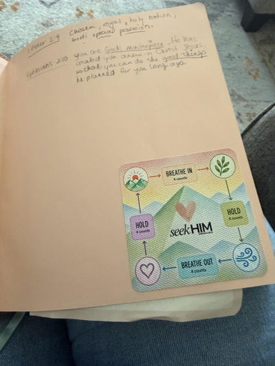 Tiffany's SeekHIM textured stickers, from her review photo