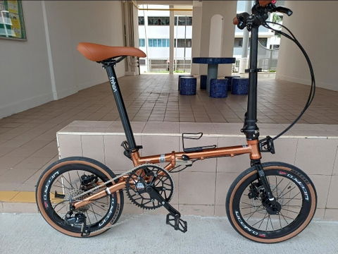 Fnhon Gust 18” • Shimano 9s • Rose Gold