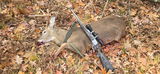 45cal 250gr Rifle/Handgun Maximus-50ct