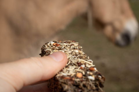 Candy'z Barre  Friandises naturelles pour chevaux  Format XXL