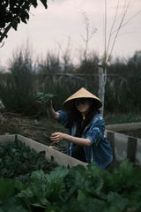 Hình ảnh người dùng