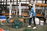 Hình ảnh người dùng