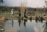 Hình ảnh người dùng
