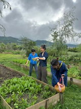 Hình ảnh người dùng