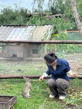 Hình ảnh người dùng