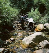 Immagine dell'utente
