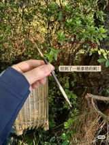 用戶圖片
